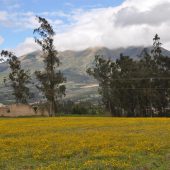  Ecuador